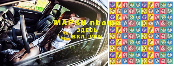 крисы Алексин
