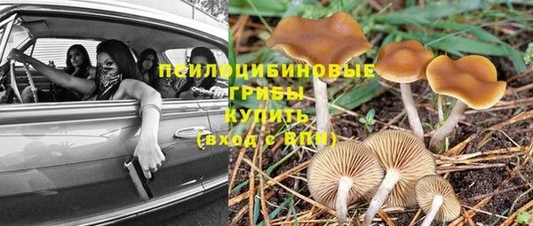 дживик Алексеевка