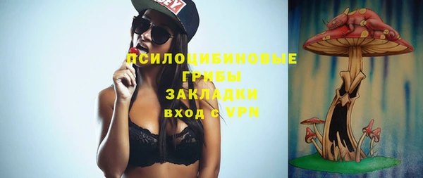 крисы Алексин