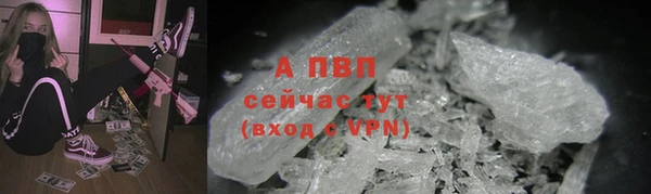 крисы Алексин