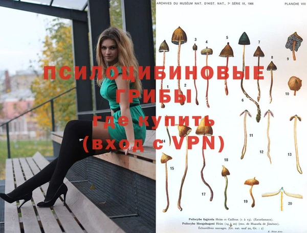 крисы Алексин