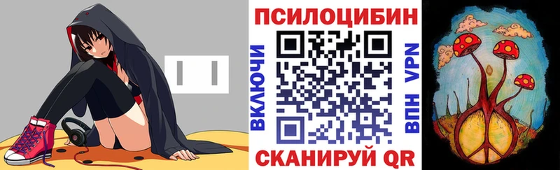 Галлюциногенные грибы Psilocybe  купить  сайты  Томск 
