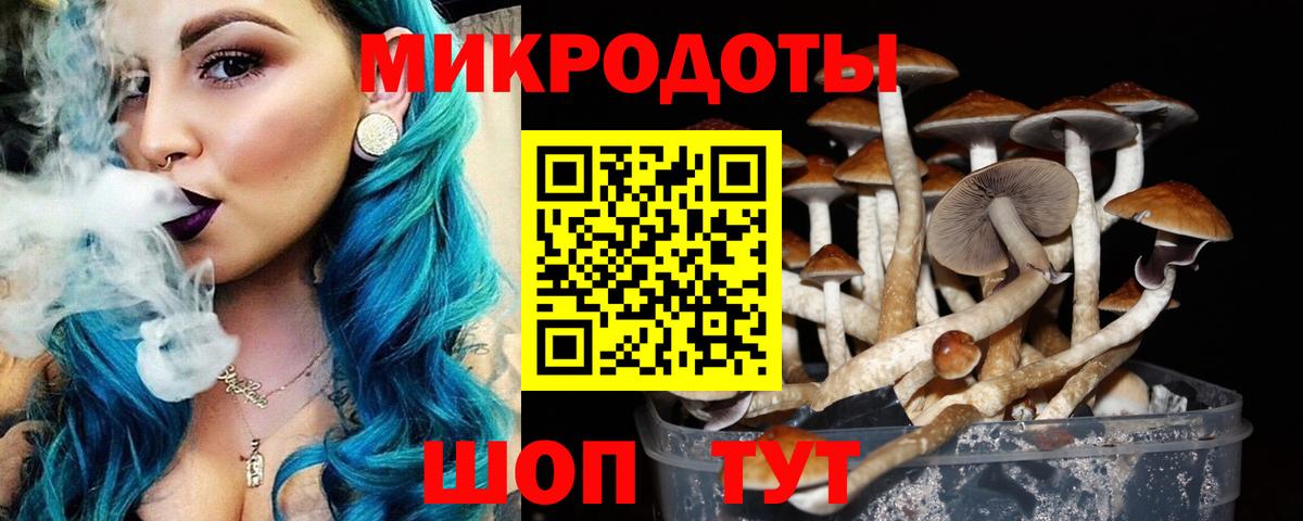 Томск  Галлюциногенные грибы MAGIC MUSHROOMS  как найти   Вход с VPN 